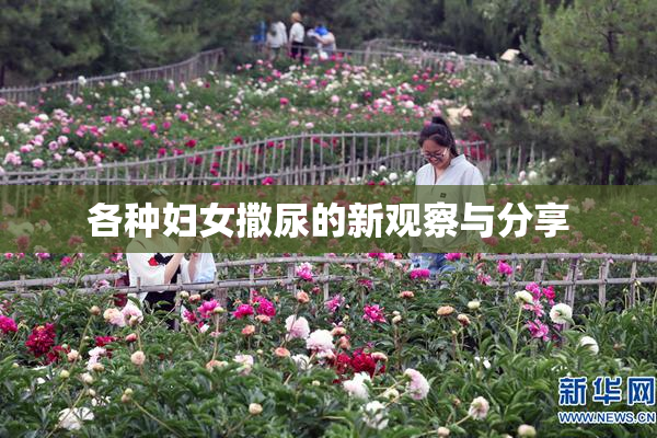 各种妇女撒尿的新观察与分享