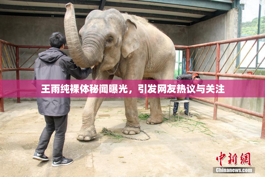王雨纯裸体秘闻曝光，引发网友热议与关注