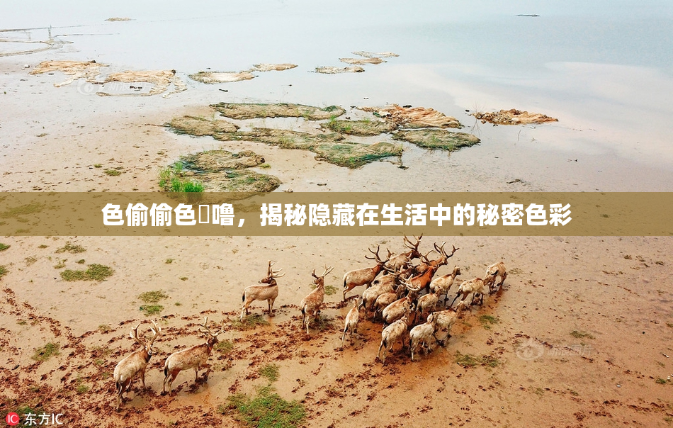 色偷偷色嚕噜，揭秘隐藏在生活中的秘密色彩