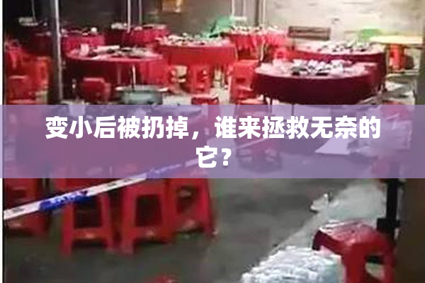 变小后被扔掉，谁来拯救无奈的它？