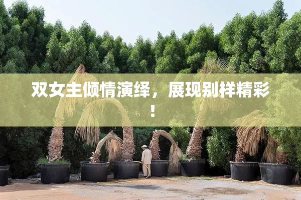 双女主倾情演绎，展现别样精彩！