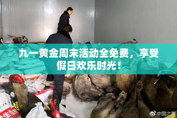 九一黄金周末活动全免费，享受假日欢乐时光！