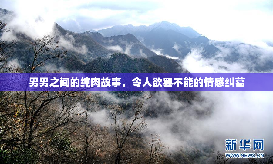 男男之间的纯肉故事，令人欲罢不能的情感纠葛