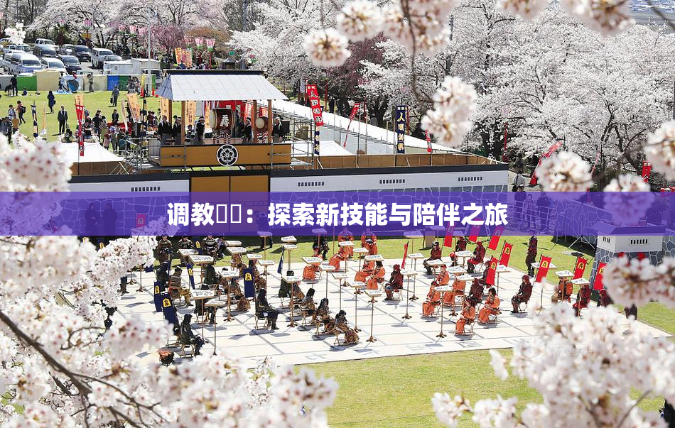 调教妺妺：探索新技能与陪伴之旅
