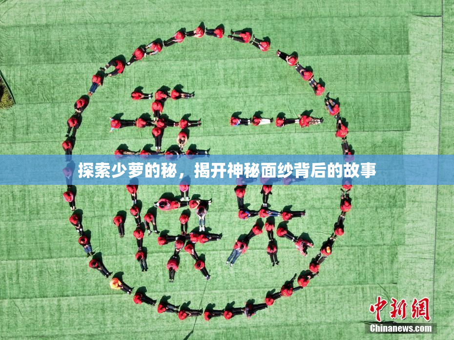 探索少萝的秘，揭开神秘面纱背后的故事