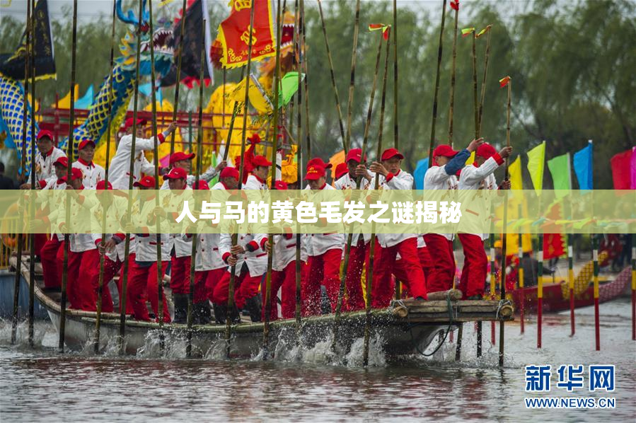 人与马的黄色毛发之谜揭秘