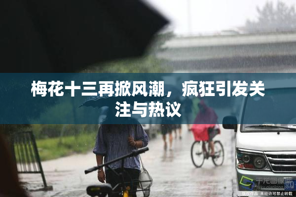 梅花十三再掀风潮，疯狂引发关注与热议