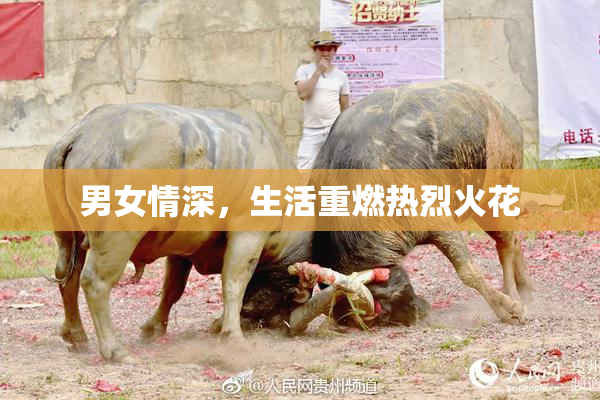 男女情深，生活重燃热烈火花