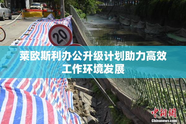 莱欧斯利办公升级计划助力高效工作环境发展