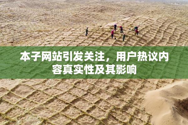 本子网站引发关注，用户热议内容真实性及其影响
