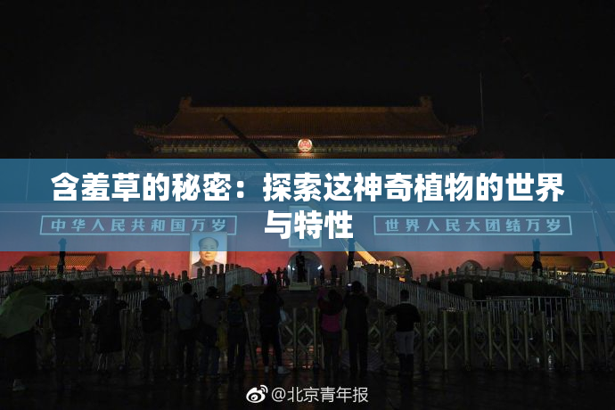 含羞草的秘密：探索这神奇植物的世界与特性