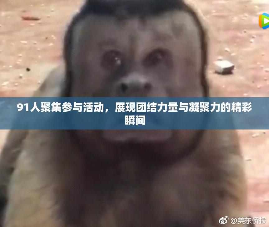 91人聚集参与活动，展现团结力量与凝聚力的精彩瞬间