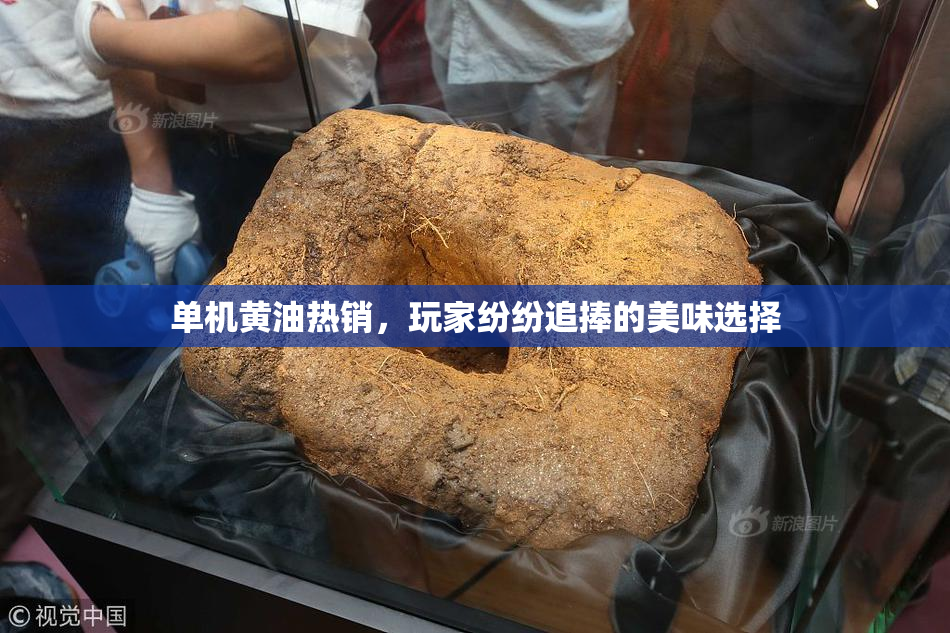 单机黄油热销，玩家纷纷追捧的美味选择