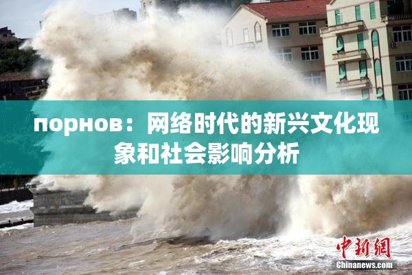 порнов：网络时代的新兴文化现象和社会影响分析