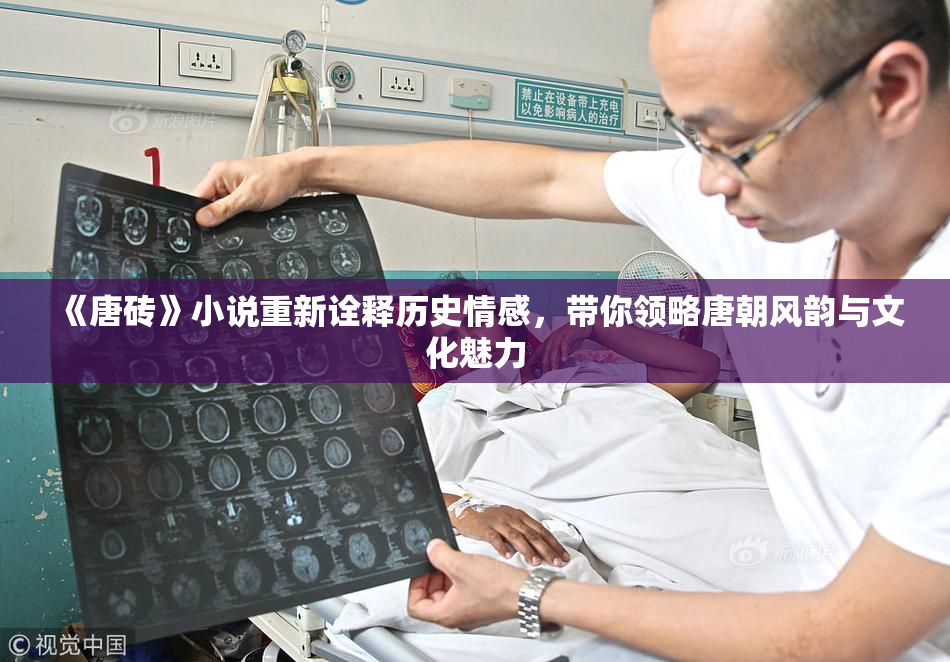 《唐砖》小说重新诠释历史情感，带你领略唐朝风韵与文化魅力