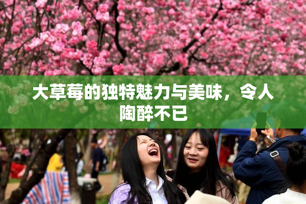 大草莓的独特魅力与美味，令人陶醉不已