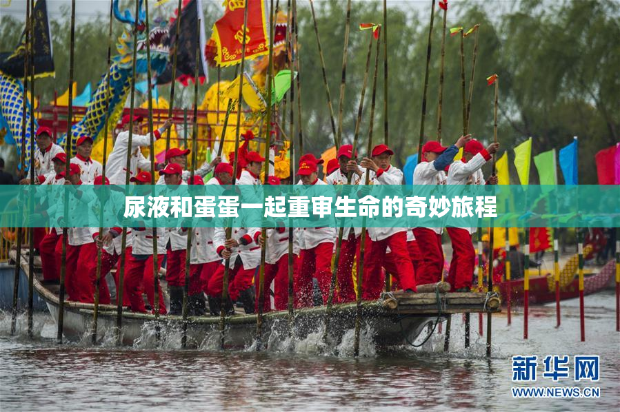 尿液和蛋蛋一起重审生命的奇妙旅程