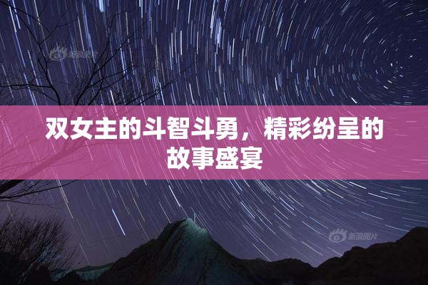 双女主的斗智斗勇，精彩纷呈的故事盛宴