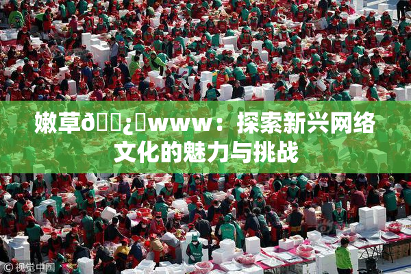 嫩草🌿‌www：探索新兴网络文化的魅力与挑战