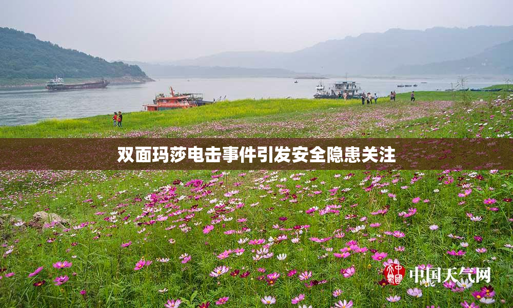 双面玛莎电击事件引发安全隐患关注