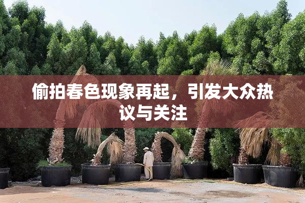 偷拍春色现象再起，引发大众热议与关注