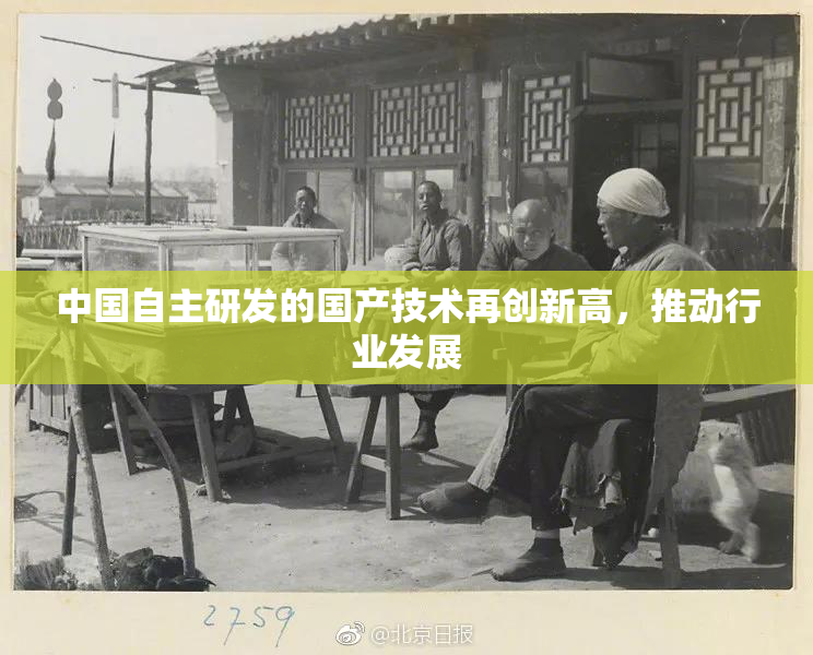 中国自主研发的国产技术再创新高，推动行业发展