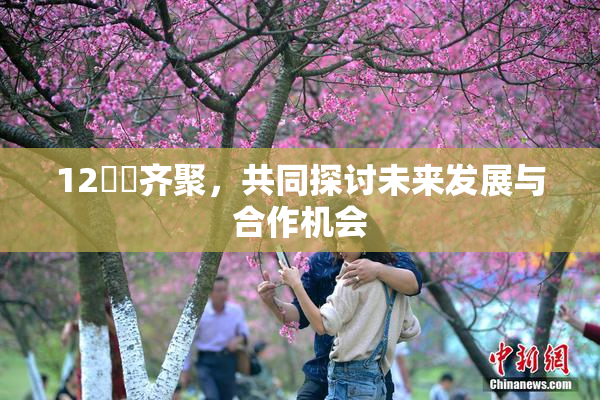 12妺妺齐聚，共同探讨未来发展与合作机会