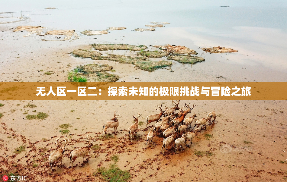 无人区一区二：探索未知的极限挑战与冒险之旅