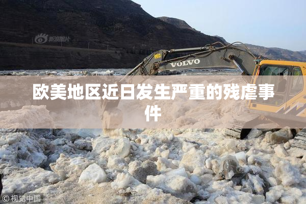 欧美地区近日发生严重的残虐事件