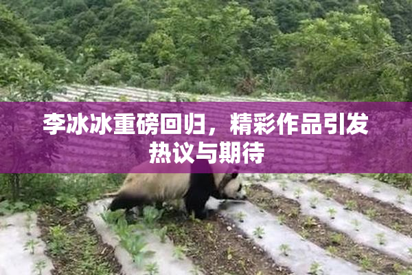 李冰冰重磅回归，精彩作品引发热议与期待