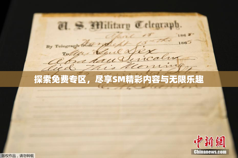 探索免费专区，尽享SM精彩内容与无限乐趣