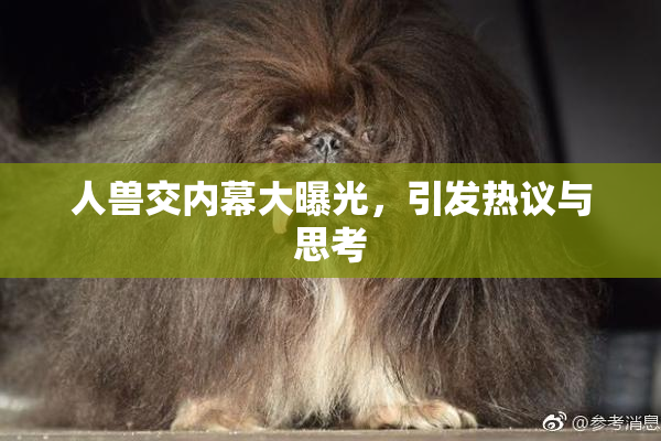 人兽交内幕大曝光，引发热议与思考
