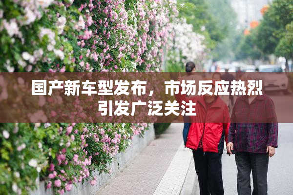 国产新车型发布，市场反应热烈引发广泛关注