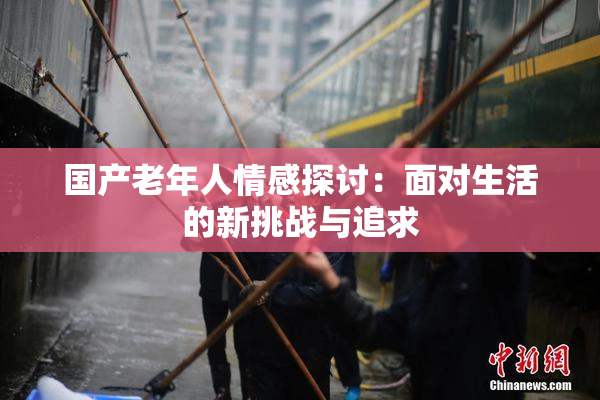国产老年人情感探讨：面对生活的新挑战与追求
