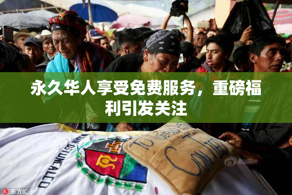 永久华人享受免费服务，重磅福利引发关注