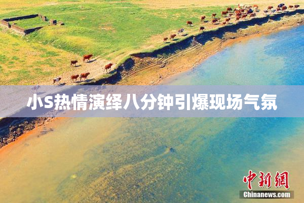小S热情演绎八分钟引爆现场气氛