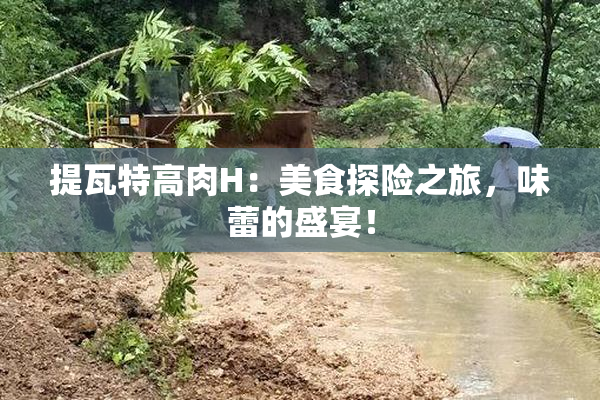 提瓦特高肉H：美食探险之旅，味蕾的盛宴！