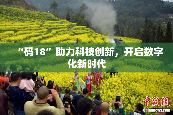 “码18”助力科技创新，开启数字化新时代