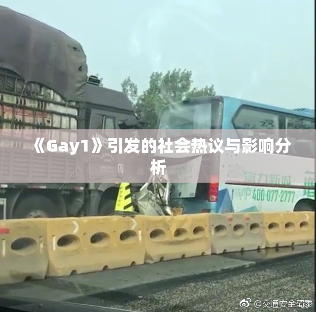 《Gay1》引发的社会热议与影响分析