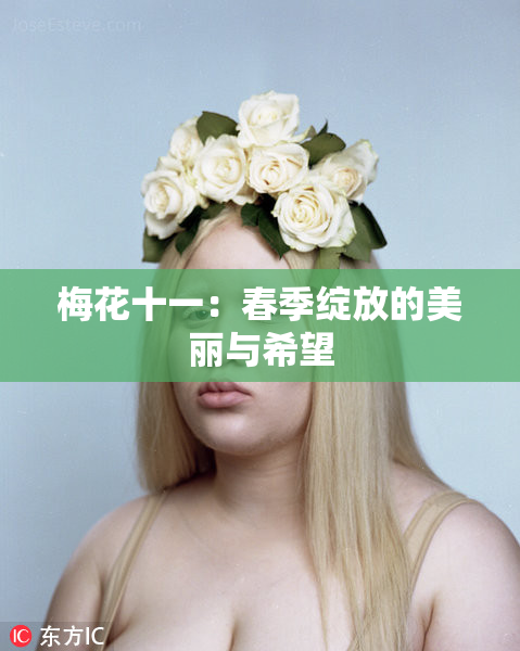 梅花十一：春季绽放的美丽与希望