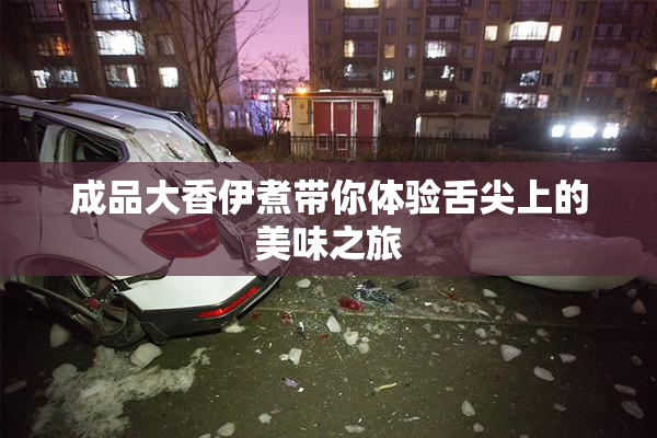 成品大香伊煮带你体验舌尖上的美味之旅