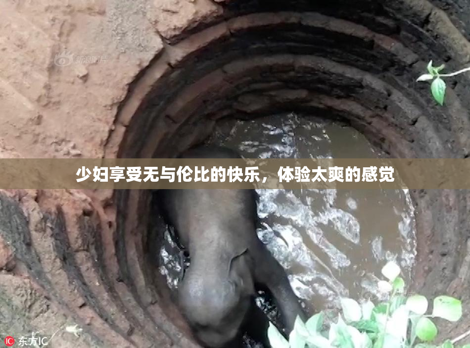 少妇享受无与伦比的快乐，体验太爽的感觉