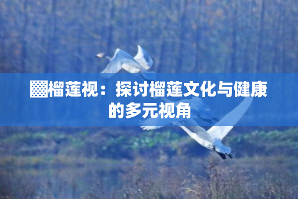 ▓榴莲视：探讨榴莲文化与健康的多元视角