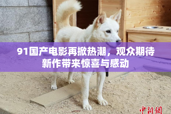 91国产电影再掀热潮，观众期待新作带来惊喜与感动
