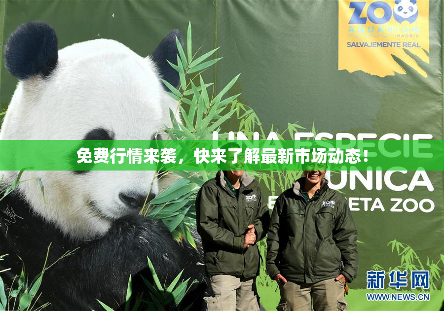 免费行情来袭，快来了解最新市场动态！