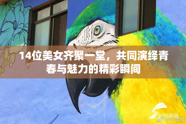 14位美女齐聚一堂，共同演绎青春与魅力的精彩瞬间