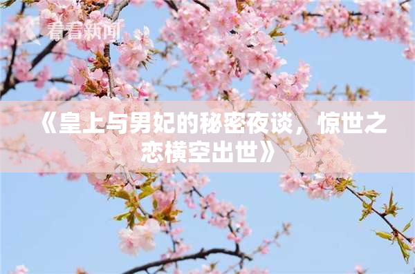 《皇上与男妃的秘密夜谈，惊世之恋横空出世》