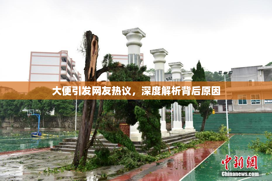 大便引发网友热议，深度解析背后原因
