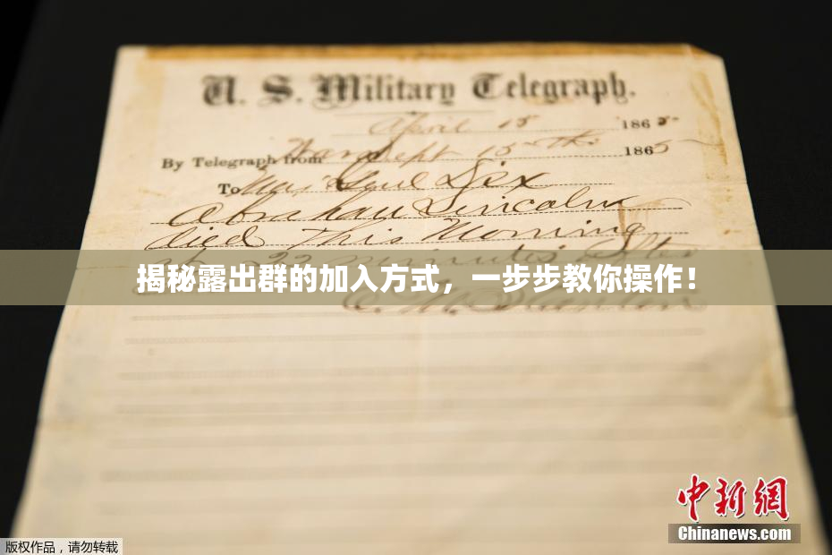 揭秘露出群的加入方式，一步步教你操作！