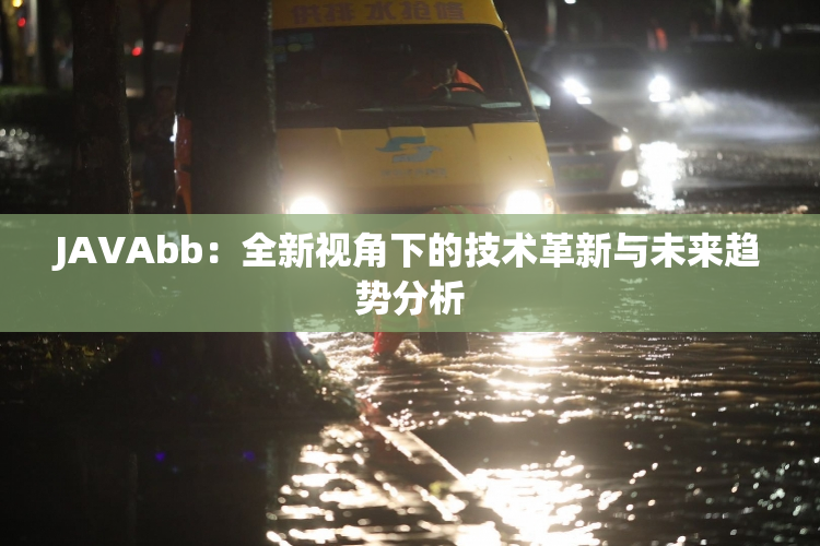 JAVAbb：全新视角下的技术革新与未来趋势分析